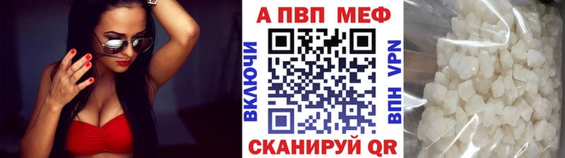 Купить Стародуб A-PVP СК КРИС